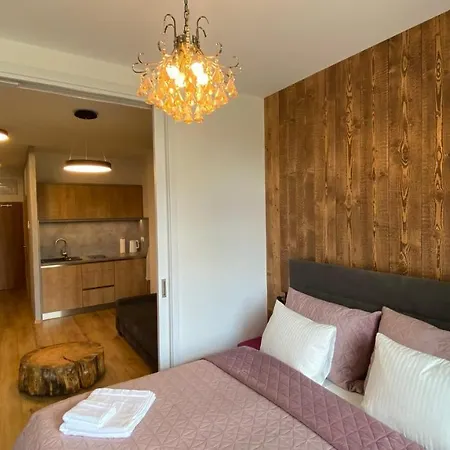 C110 V Hrebienok Ii Apartmán Vysoké Tatry