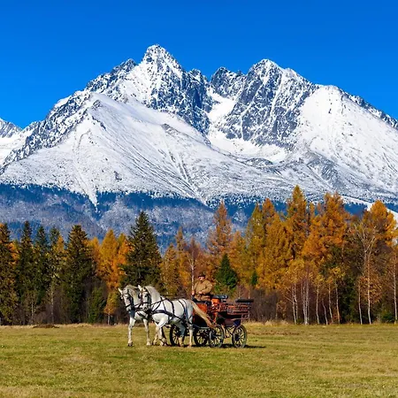 C110 V Hrebienok Ii Appartement