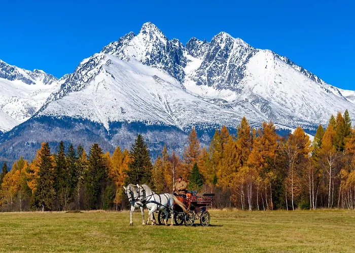 C110 V Hrebienok Ii Apartment